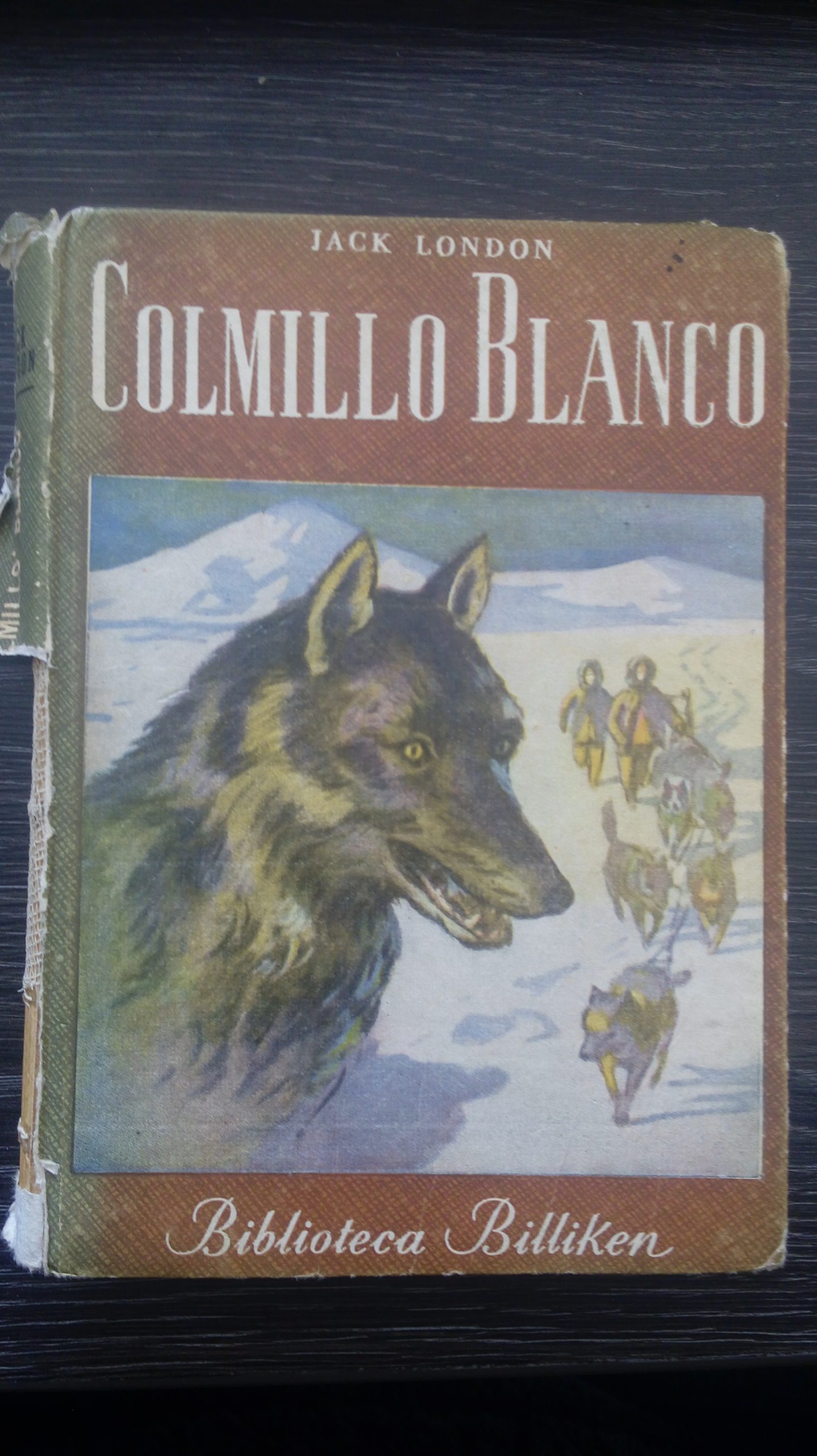 Colmillo blanco Colmillo blanco